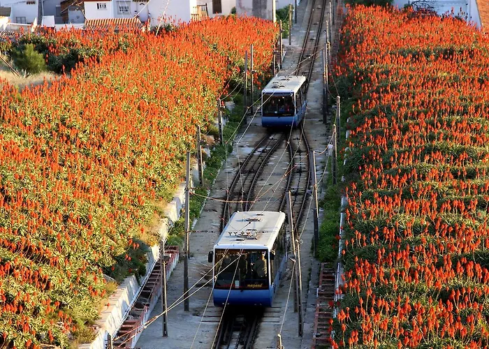 Villamar Style Maison 4*